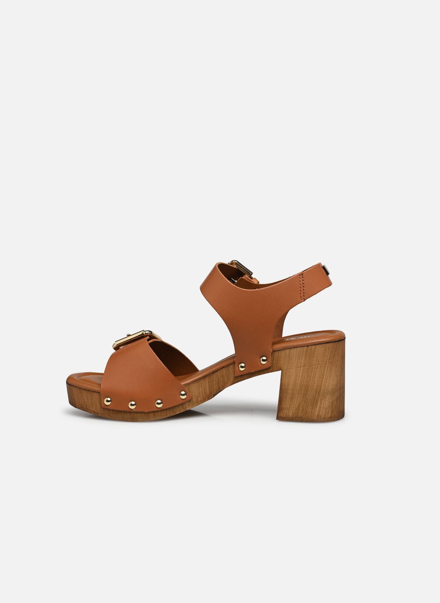 Talon Apy  Camel JB.Martin