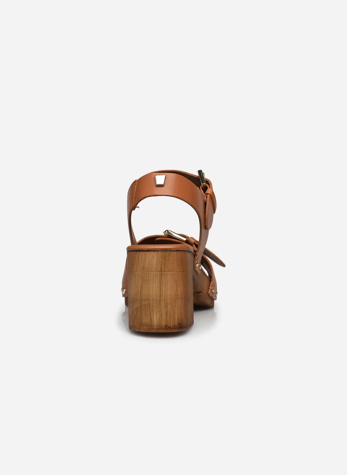 Talon Apy  Camel JB.Martin